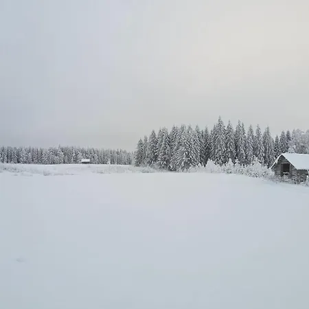 Daire Vanha Maatila Maaseudun Rauhassa Saeyneisessae Saunalahti